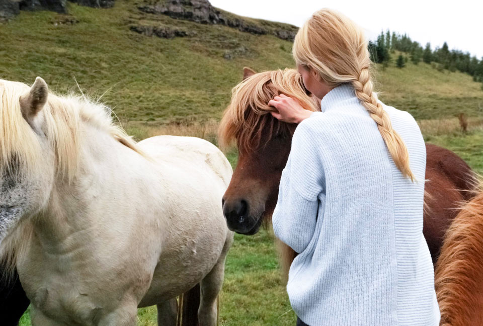 Pferdewirt/Pferdewirtin Ausbildung, Beruf, Gehalt und Voraussetzungen